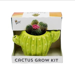 Grow a Cactus