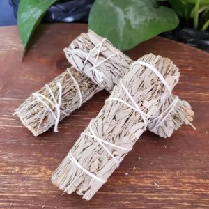 Sustainably Sourced White + Blue Sage Bundle